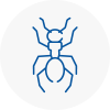 Ant Removals In Haywards Heath