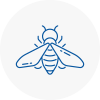 Bee Nest Removal Haywards Heath