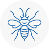 Haywards Heath Hornet Nest Removals