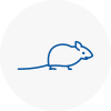 Mice Exterminators In Haywards Heath