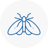 Moth Control Specialists In Haywards Heath