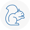 Haywards Heath Rodent Removals